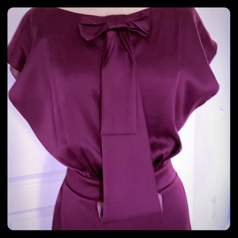 Elegant and beautiful plum Zac Pisen silk dress.